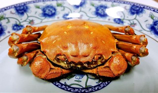 海螃蟹蒸多久最佳（海螃蟹蒸多久最佳时间冷水下锅煮）
