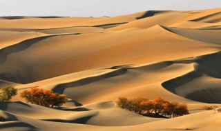被称为死亡之海的沙漠是 被称为死亡之海的沙漠是哪个沙漠?