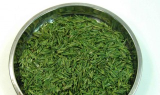 竹叶青是什么茶 竹叶青是什么茶树品种