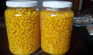 玉米粒罐头的做法是什么（玉米粒罐头的家常做法大全）