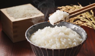 高压锅蒸米饭的做法（用高压锅蒸米饭需要多少分钟）
