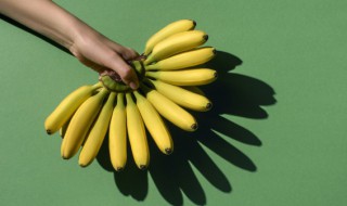 芝麻蕉和香蕉的区别（芝麻蕉和香蕉的区别在哪里）