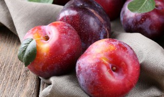 加应子是什么水果 加应子是什么水果做的