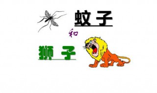蚊子和狮子的寓意（蚊子和狮子的寓意用一个成语概括）