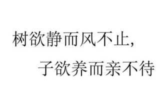 树欲静而风不止下句 树欲静而风不止下句话是什么