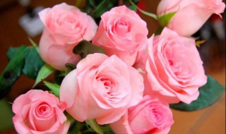 各色玫瑰花语代表什么 不同颜色玫瑰花的寓意和花语
