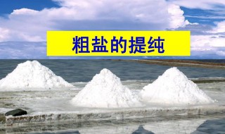 古代粗盐怎么提纯 古代粗盐提纯的方法
