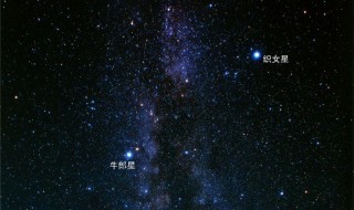 牛郎星和织女星的距离（牛郎星和织女星的距离是多少光年）