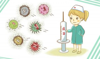 接种新冠病毒疫苗的好处 接种新冠病毒疫苗的好处的总结