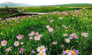 花湖海拔（甘孜莲花湖海拔）