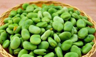 蚕豆的功效与作用 蚕豆的功效与作用及副作用