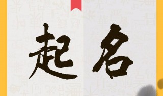 怎样起名字 新生儿怎样起名字