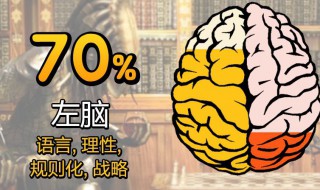 左脑型思维者介绍（什么叫左脑型思维者）