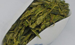 高山绿茶禁忌