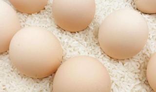 鸡蛋的最佳储存方法夏季（土鸡蛋最好的保鲜方法）