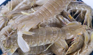 皮皮虾能冷冻储存多久 皮皮虾可以冷冻几个月
