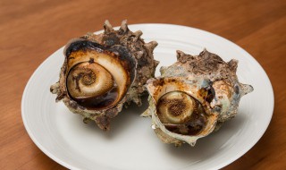 海螺煮多长时间最合适 海螺煮多长时间最合适 过来