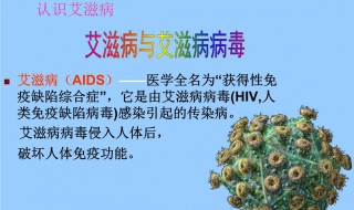 关于艾滋病的知识 关于艾滋病的知识资料
