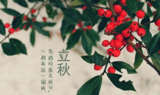 8月7日是什么节 8月7日是什么节日?