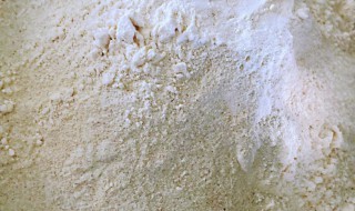 发酵粉的功效与作用 发酵粉的功效与作用禁忌