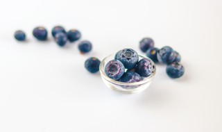 蓝莓浆果的功效与作用 蓝莓浆果的功效与作用禁忌