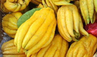 佛手柑的常见吃法 佛手柑的常见吃法和禁忌