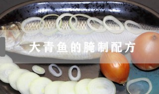 大青鱼的腌制配方（大青鱼腌制方法）