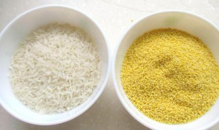小米和大米可以一起煮吗（小米和大米可以一起煮吗,干饭）