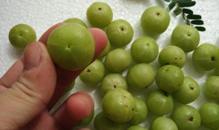 油柑子的功效与作用 橄榄果的功效与作用