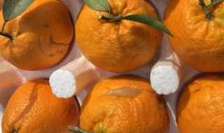 粑粑柑与丑橘有什么不同（粑粑柑和丑橘营养价值一样吗）