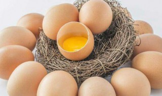 发烧能吃鸡蛋吗 发烧能吃鸡蛋吗?儿童可以吃吗