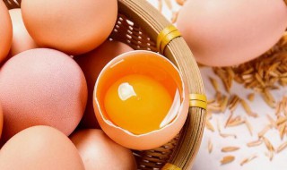 土鸡蛋和普通鸡蛋的区别（土鸡蛋和普通鸡蛋的营养价值一样吗?）