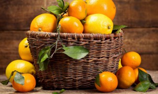 减肥吃橘子可以吗（减肥可以吃橘子吗?容易长胖吗）