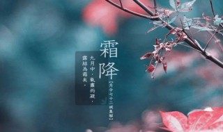 霜降节气的含义是什么（霜降节气的含义是什么意思?）