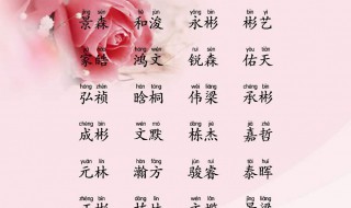 怎样起个好名字（怎样起个好名字鲁姓）