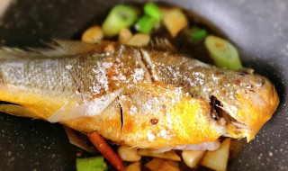 广东黄花鱼的做法和配方 广东黄花鱼多少钱一斤