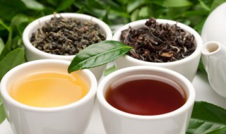 乌龙茶都有哪些 乌龙茶都有哪些品种名称