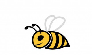 寄生蜂会寄生人类吗 蜜蜂怎样才会主动离开