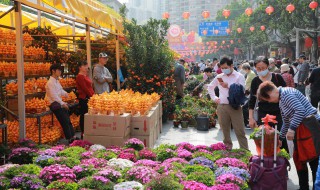 重庆五月赏花路线 重庆五月赏花路线图