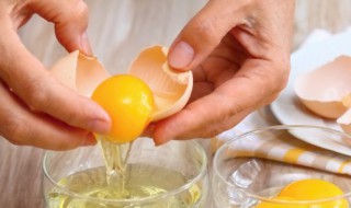 日本无菌鸡蛋怎么生产（日本无菌鸡蛋怎么生产出来的）