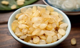 雪莲子和皂角米是一个东西吗 雪莲子跟皂角米有什么差别
