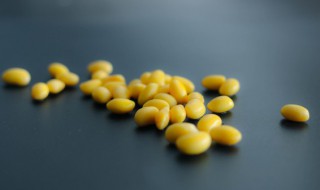 黄豆卤味的制作方法 黄豆怎么卤