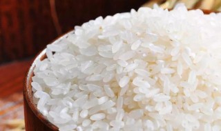 预防大米生虫的方法 预防大米长虫的方法