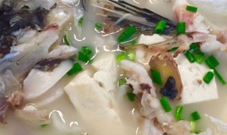 生鱼汤的做法和功效 伤口愈合生鱼汤的做法和功效
