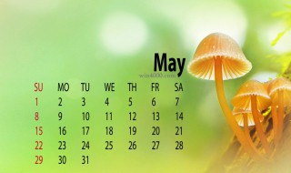 5月9日是什么日子 2024年5月9日是什么日子