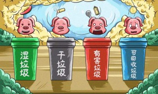 干垃圾和湿垃圾的区别 干垃圾和湿垃圾的区别猪能吃的