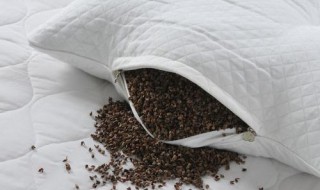 荞麦枕头的功效与作用 使用荞麦枕头有哪些好处
