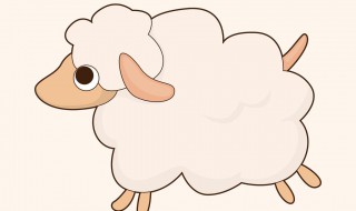 鸡羊哪种瞳孔是长方形的（长方形瞳孔的动物）
