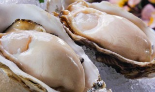牡蛎的做法清蒸几分钟 牡蛎的做法清蒸几分钟最好