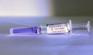 两针新冠疫苗有效期多久 两针新冠疫苗时效多久